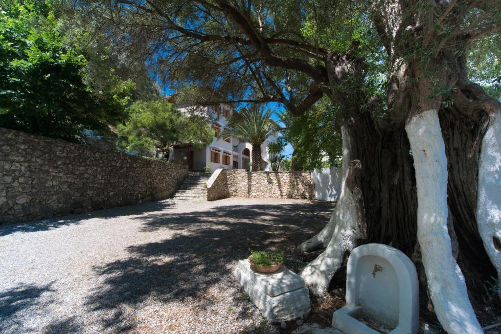 Lefkáda Ilios Studios מראה חיצוני תמונה